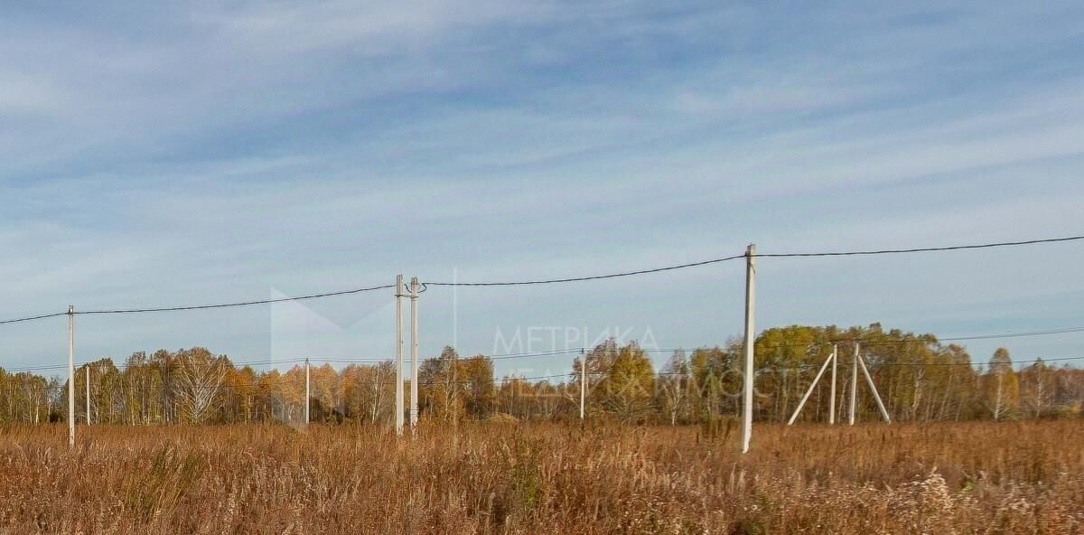 земля р-н Тюменский с Червишево ул Мостовая фото 23