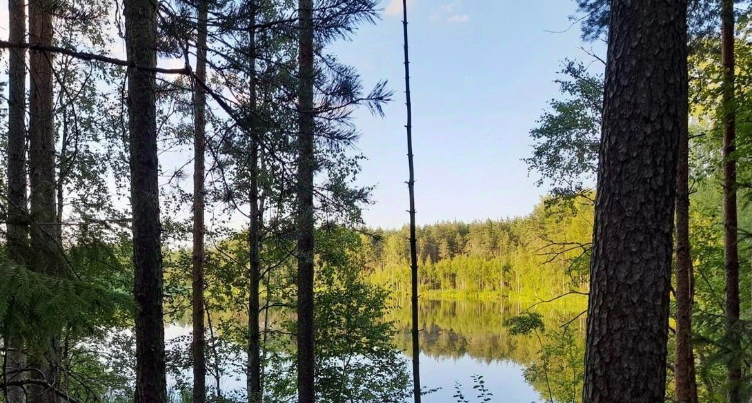 дом р-н Выборгский снт Здоровье пер. Ольховый, Рощино пгт фото 26