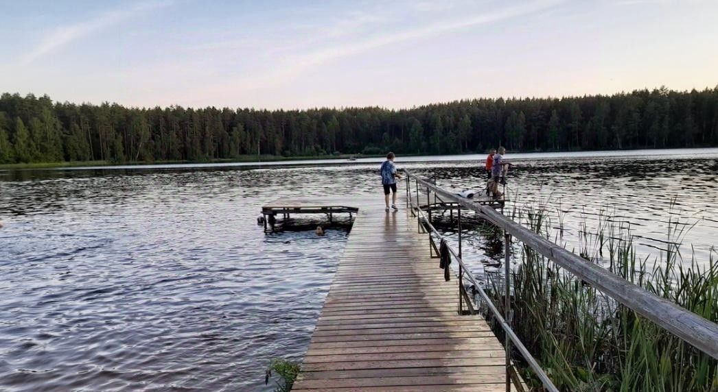 дом р-н Выборгский снт Здоровье пер. Ольховый, Рощино пгт фото 27