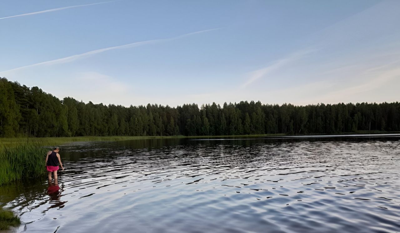 дом р-н Выборгский снт Здоровье пер. Ольховый, Рощино пгт фото 25