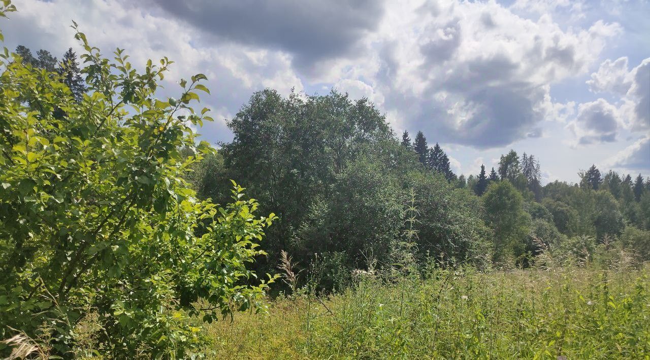 земля городской округ Рузский д Демёнково фото 1