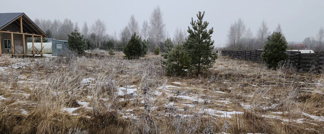 земля р-н Некрасовский с Диево-Городище ул Сиреневая 19 сельское поселение Красный Профинтерн, Туношна фото 4