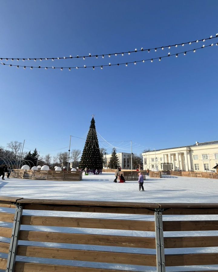 земля р-н Переславский снт Химик-2 ул 8-я 20 Переславль-Залесский фото 18