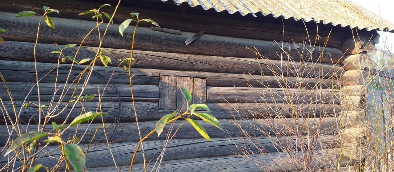 дом р-н Артинский д Березовка ул Трактовая Михайловск фото 25