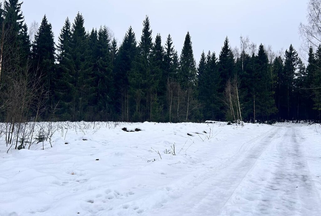 земля городской округ Дмитровский коттеджный посёлок Удино-Парк фото 7