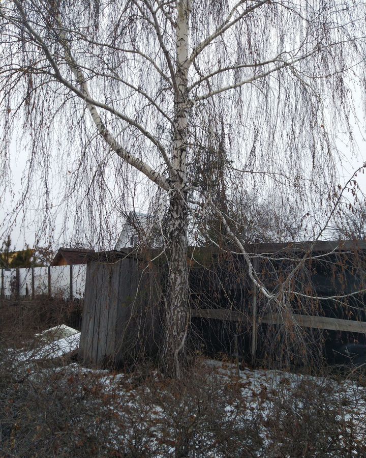 дом г Омск р-н Октябрьский территория СОСН Фиалка, 2-я аллея фото 3