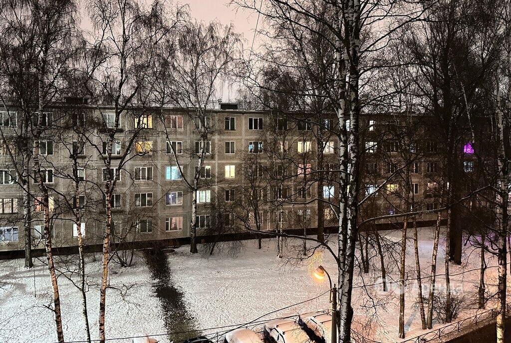 квартира г Санкт-Петербург метро Ломоносовская пр-кт Дальневосточный 76 фото 16