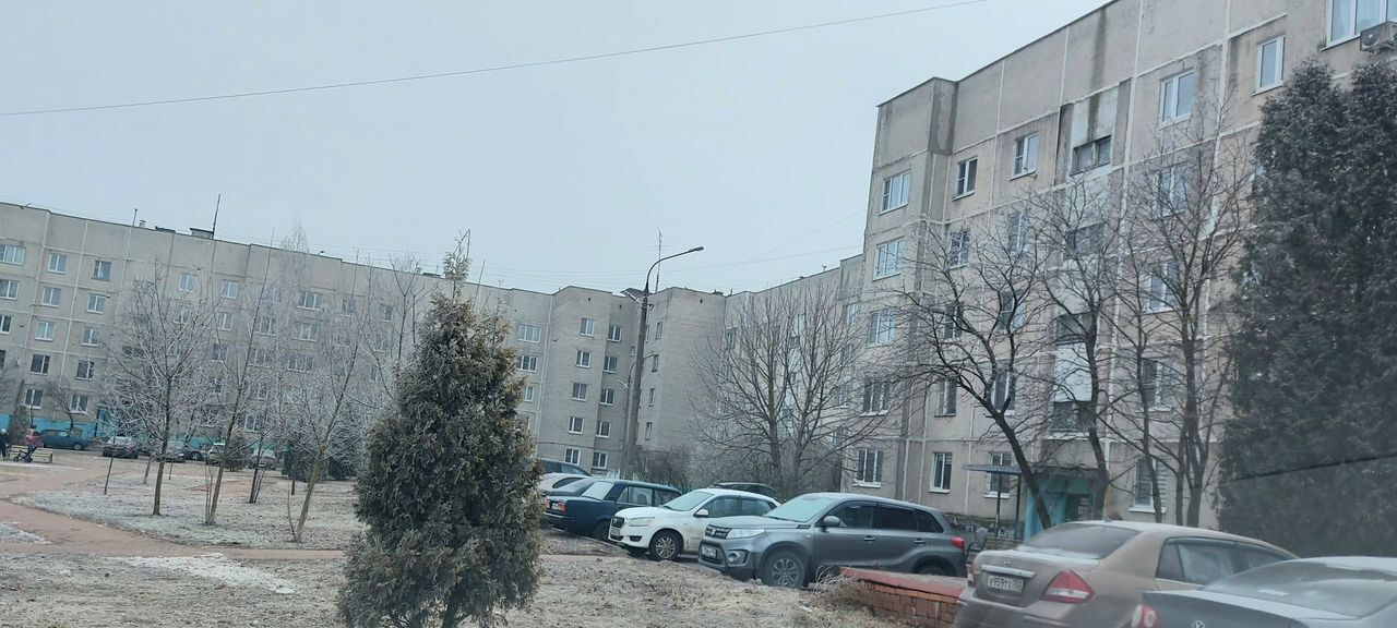 квартира городской округ Раменский п Электроизолятор 52 фото 21