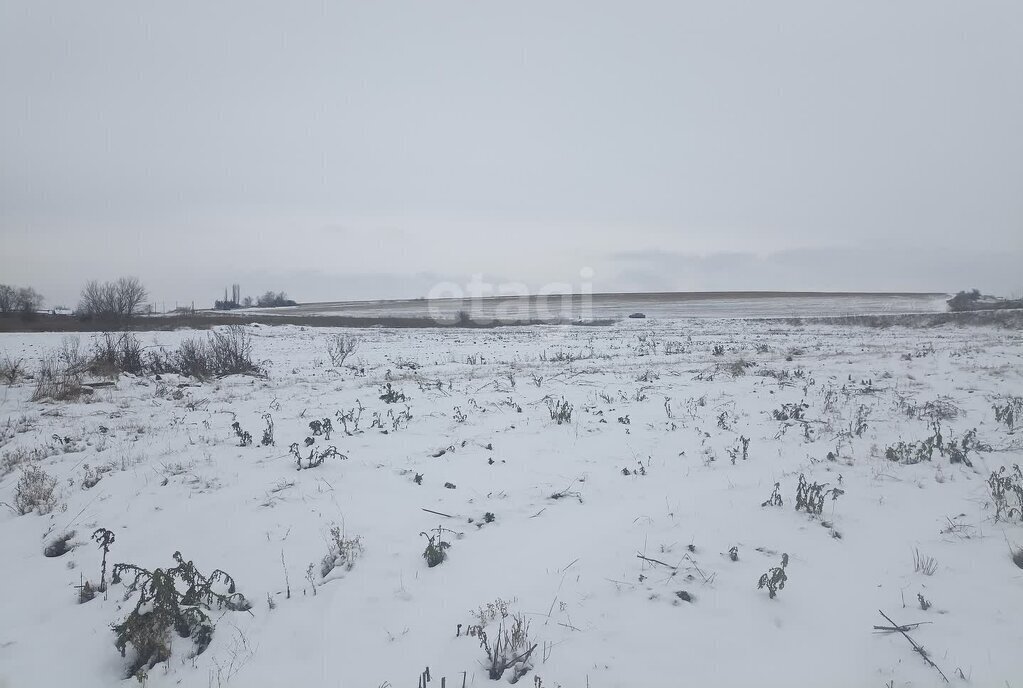 земля р-н Нижнедевицкий с Вязноватовка ул Первомайская фото 4