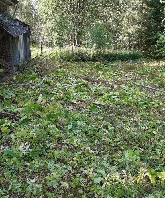 земля р-н Валдайский с Едрово ул Станционная фото 5