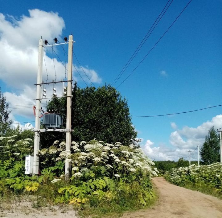 земля р-н Всеволожский п Янино-1 Заневское городское поселение, Улица Дыбенко фото 4