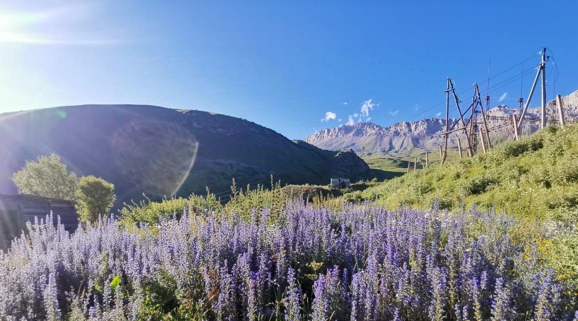 земля р-н Алагирский п Верхний Згид фото 6