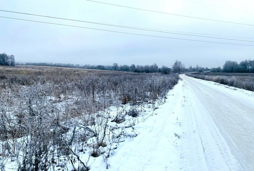 земля р-н Собинский с Семеновское фото 4