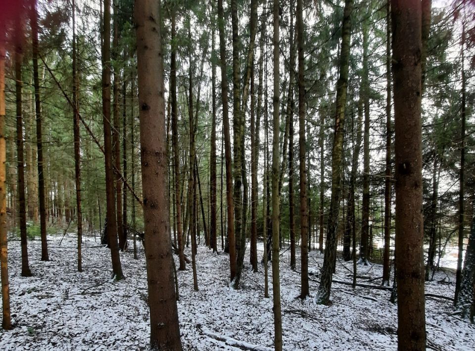 офис городской округ Ступино д Бекетово фото 1