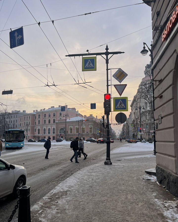 комната г Санкт-Петербург метро Петроградская Большой пр-т Петроградской стороны, 98 фото 3