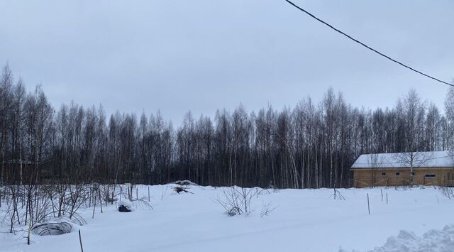 Переславль-Залесский городской округ фото