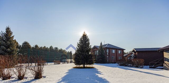 ул Центральная 166 фото