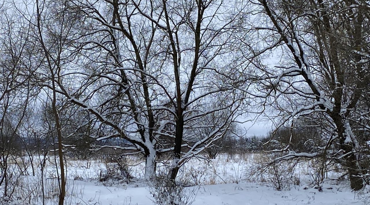 земля городской округ Клин д Еросимово фото 3