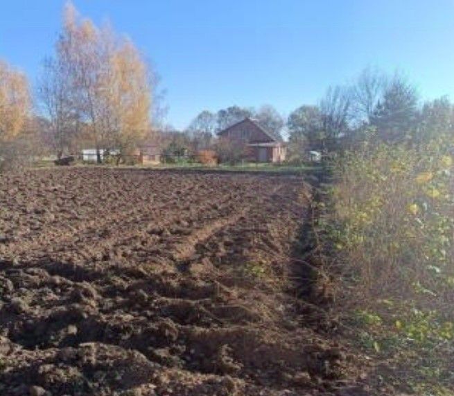 земля городской округ Луховицы д Клементьево фото 1