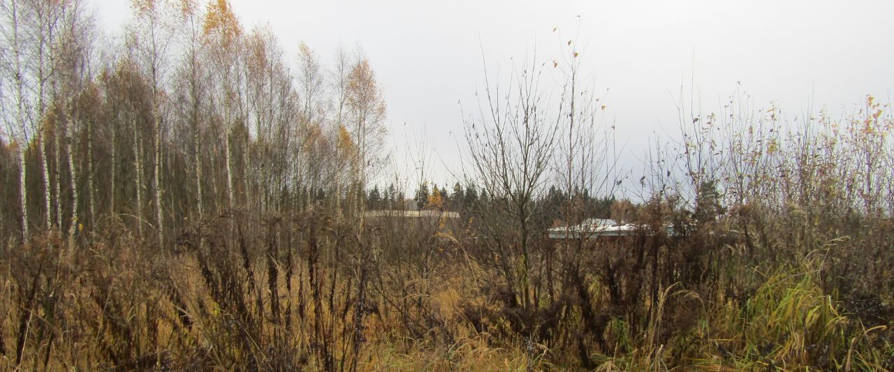 земля городской округ Рузский д Лобково фото 3