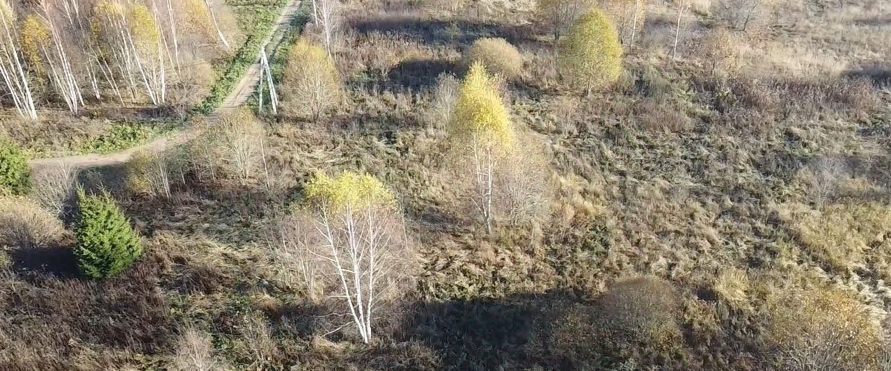 земля городской округ Волоколамский д Чернево фото 3