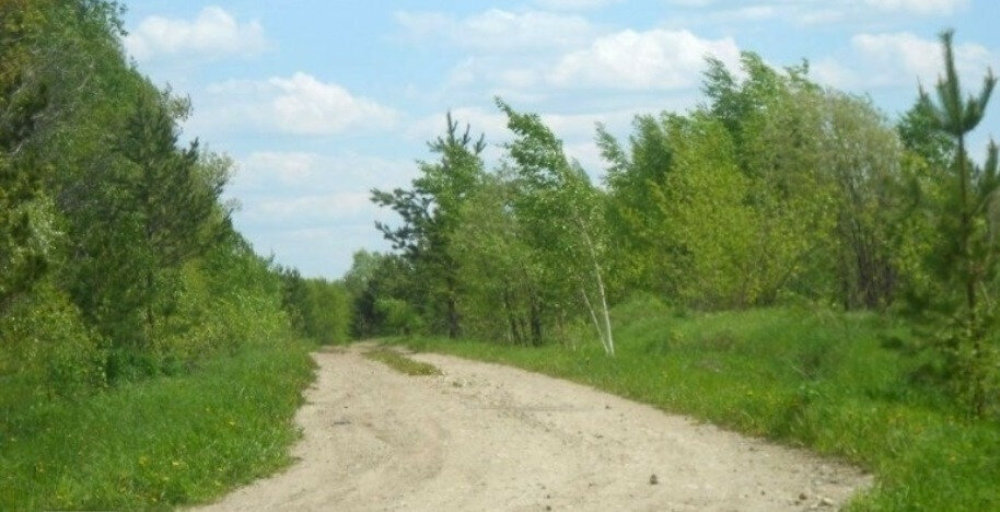 земля р-н Первомайский с Баюновские Ключи ул Солнечная 8 фото 8