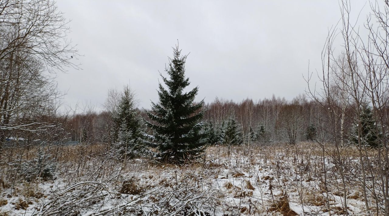 земля городской округ Наро-Фоминский д Новозыбинка фото 1