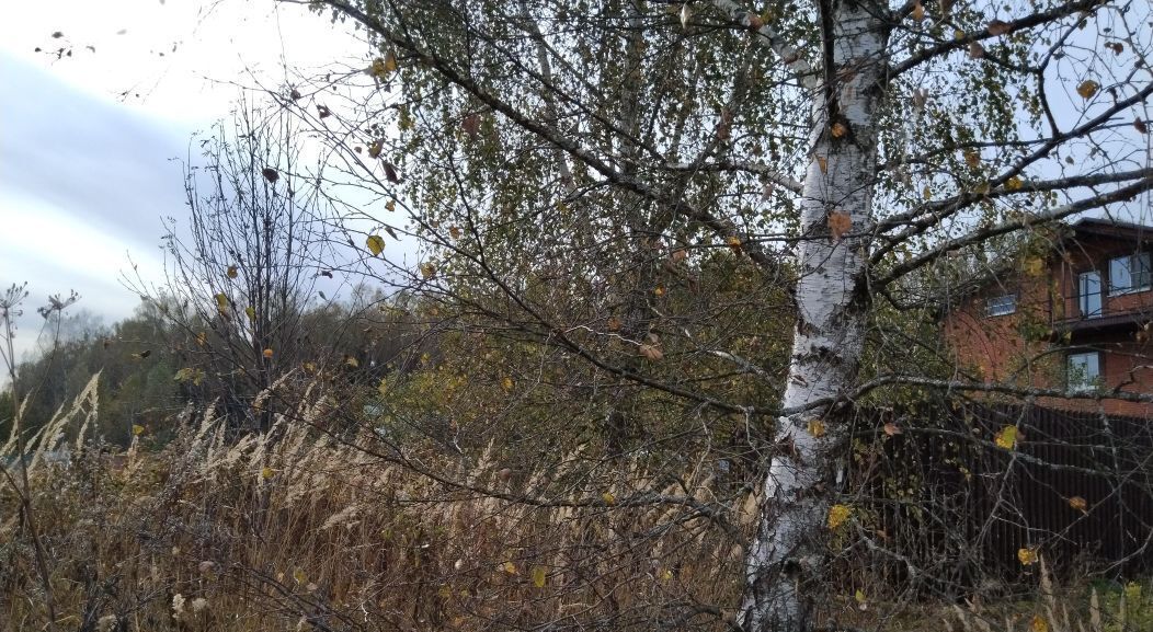 земля городской округ Наро-Фоминский д Афанасовка фото 3