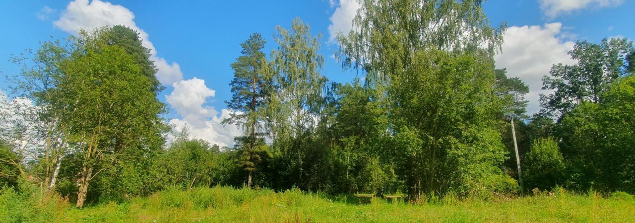 земля р-н Гатчинский Вырица городской поселок, ул. Сосновая фото 5