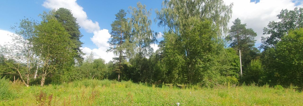 земля р-н Гатчинский Вырица городской поселок, ул. Сосновая фото 6