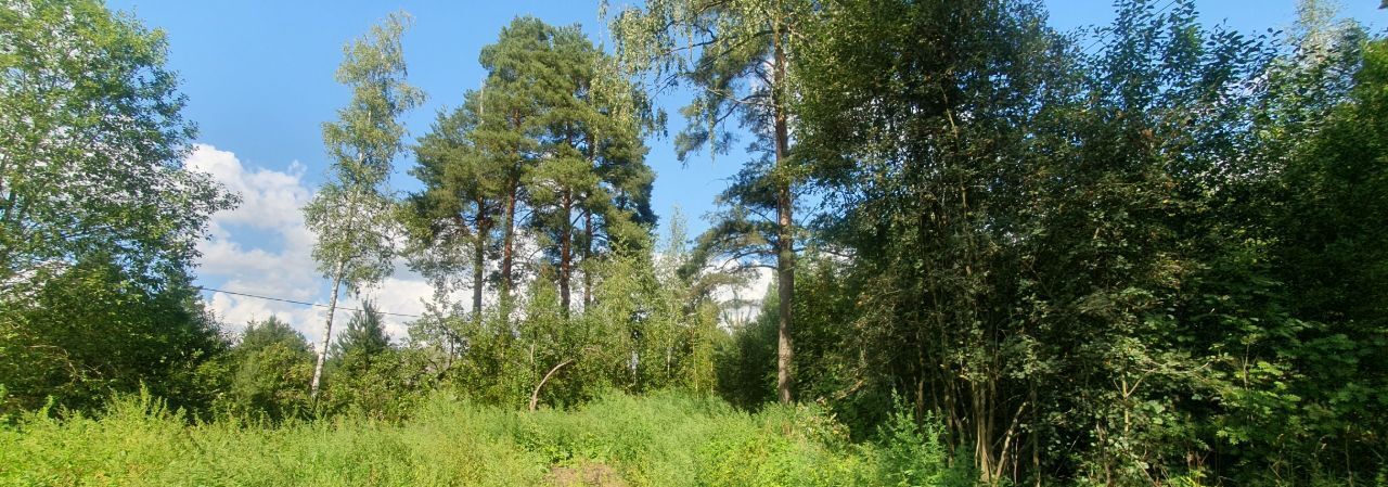 земля р-н Гатчинский Вырица городской поселок, ул. Сосновая фото 8