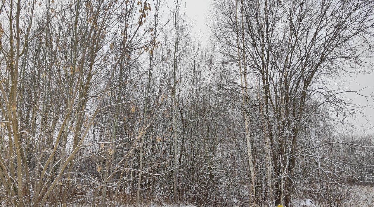 земля городской округ Орехово-Зуевский г Ликино-Дулёво фото 2