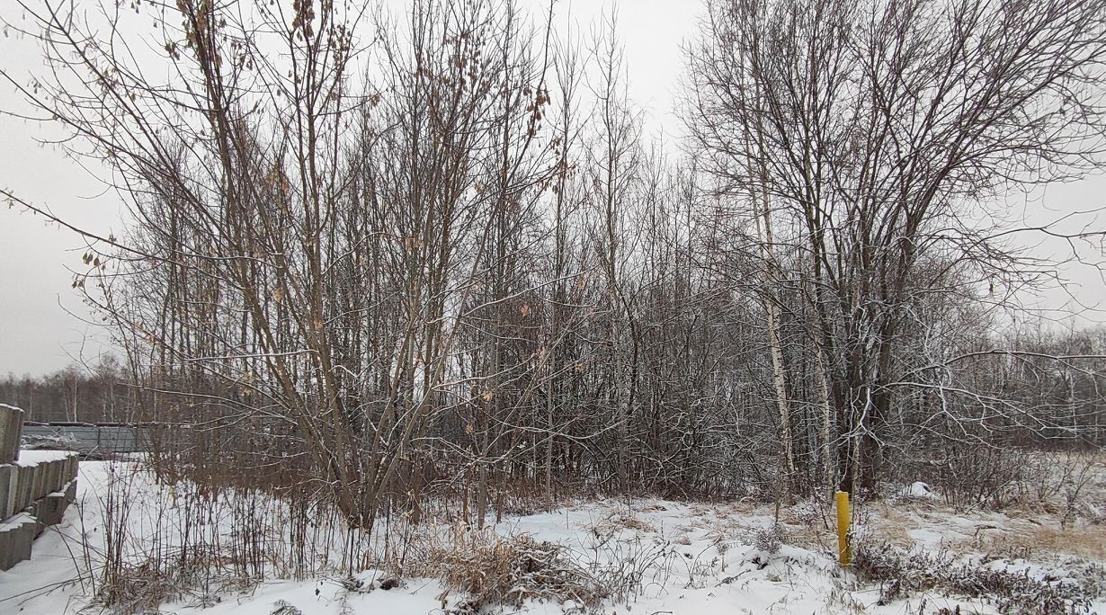 земля городской округ Орехово-Зуевский г Ликино-Дулёво фото 3