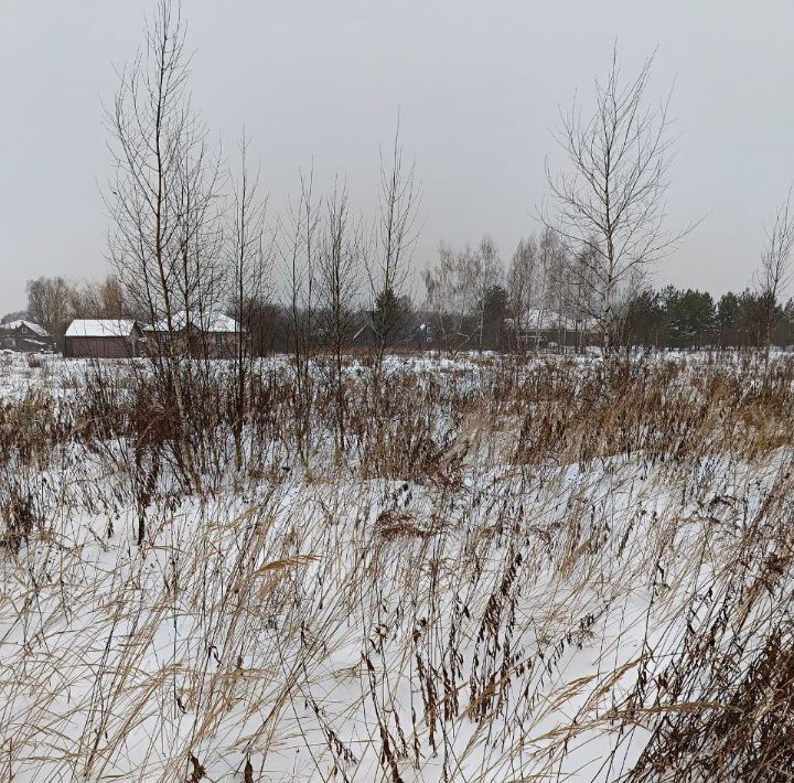 земля городской округ Павловский Посад д Гаврино 40 фото 1