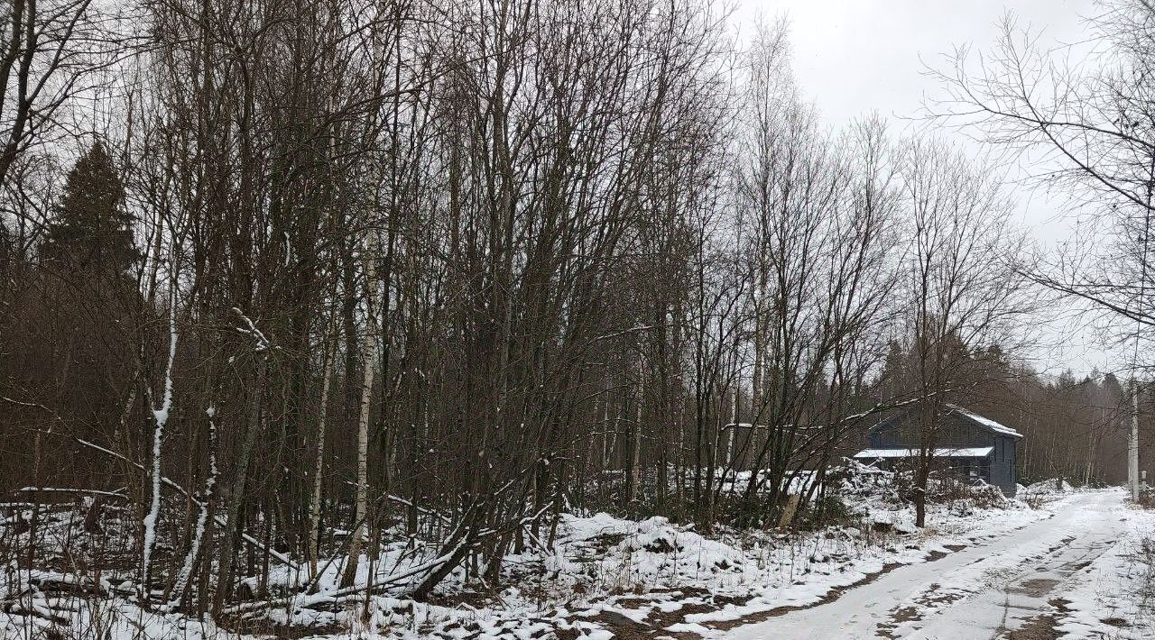 земля городской округ Мытищи д Малое Ивановское Лобня фото 4