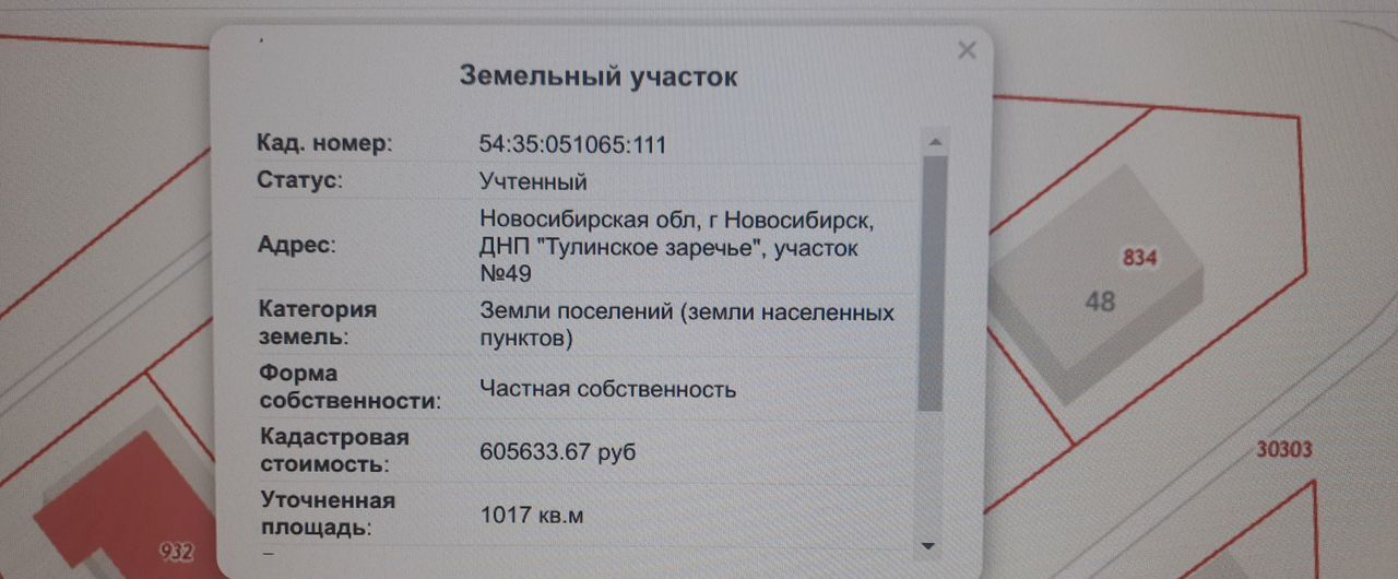 земля г Новосибирск р-н Кировский коттеджный пос. Тулинское заречье, 49 фото 1