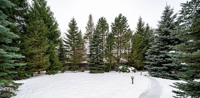 Знаменское-1 кп, Одинцово фото