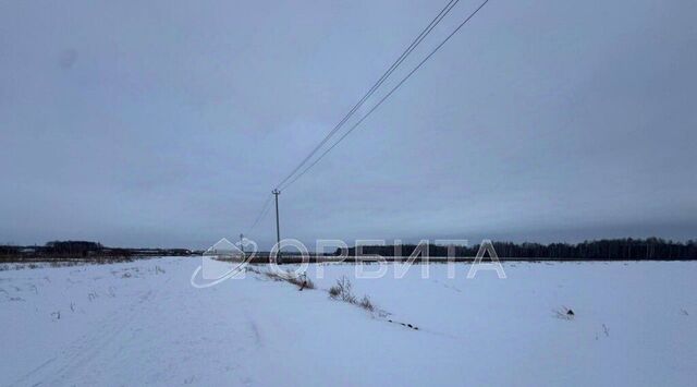 ул Сибирская фото