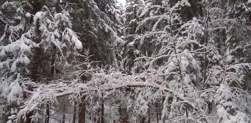 дом г Сортавала п Вуорио Сортавальский муниципальный округ, 111 фото 14