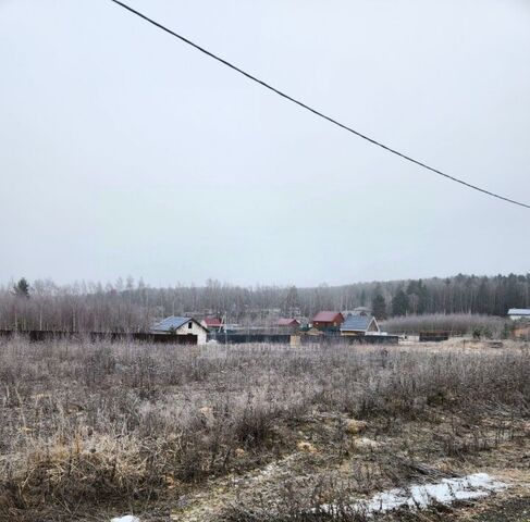 д Чижово ул Заречная 3 фото