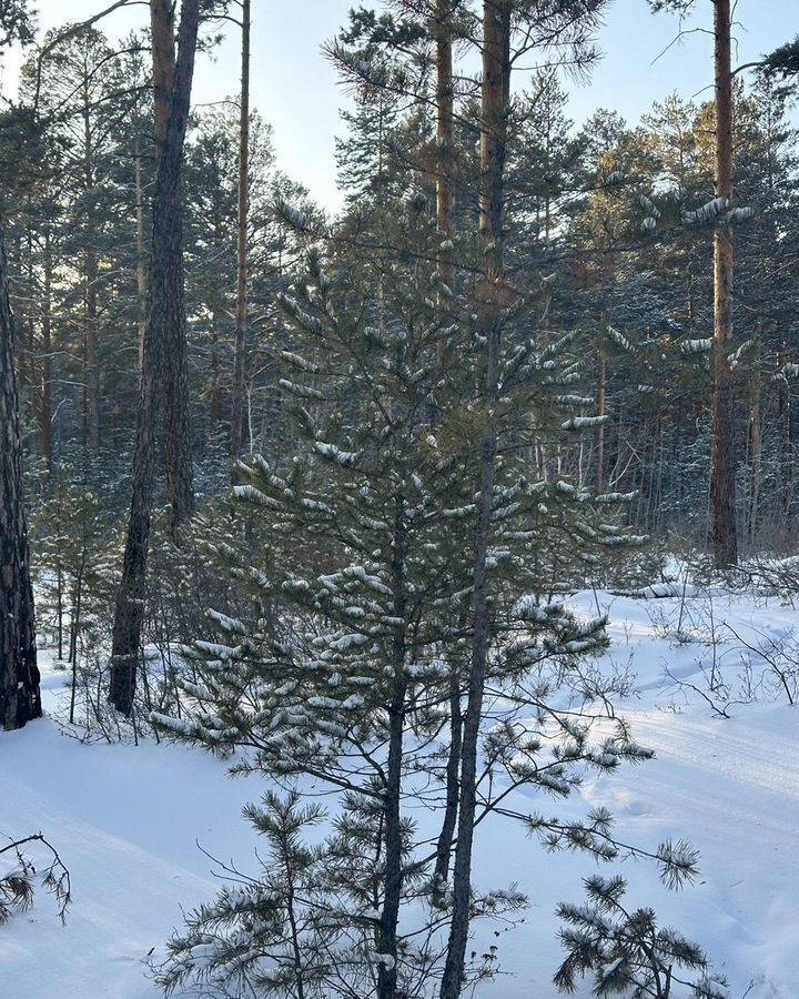 земля г Улан-Удэ р-н Железнодорожный пр-д Приаргунский 19 фото 20