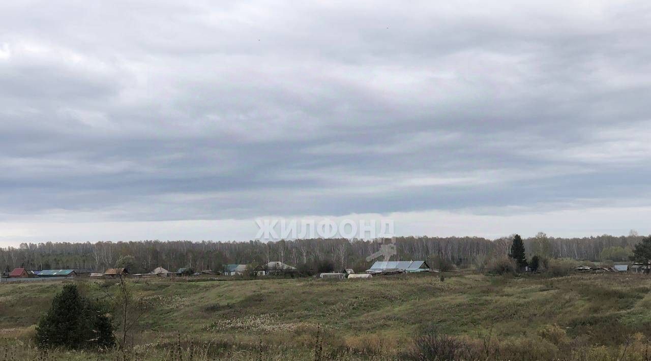 дом р-н Черепановский с Новошмаково ул Центральная фото 1