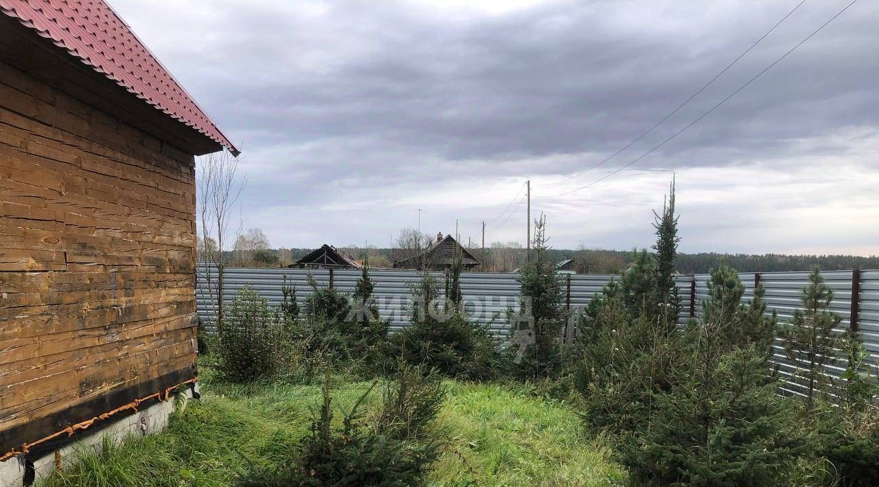 дом р-н Черепановский с Новошмаково ул Центральная фото 6