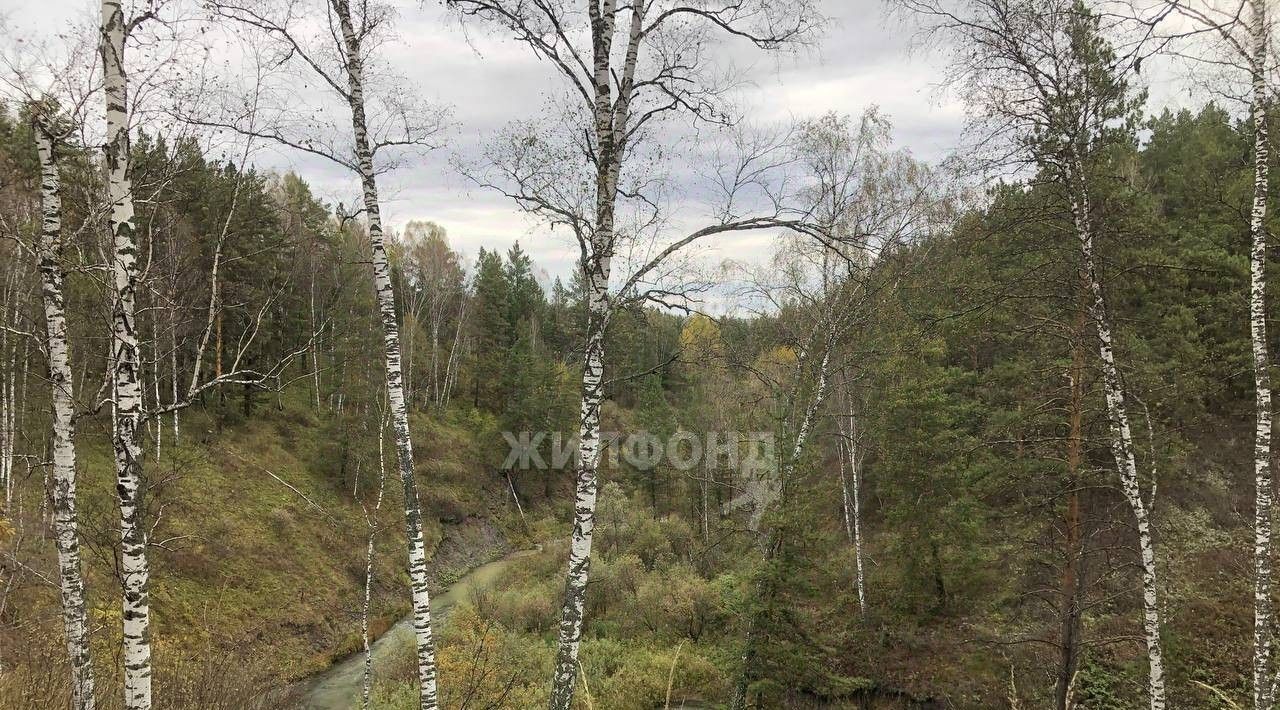 дом р-н Черепановский с Новошмаково ул Центральная фото 18