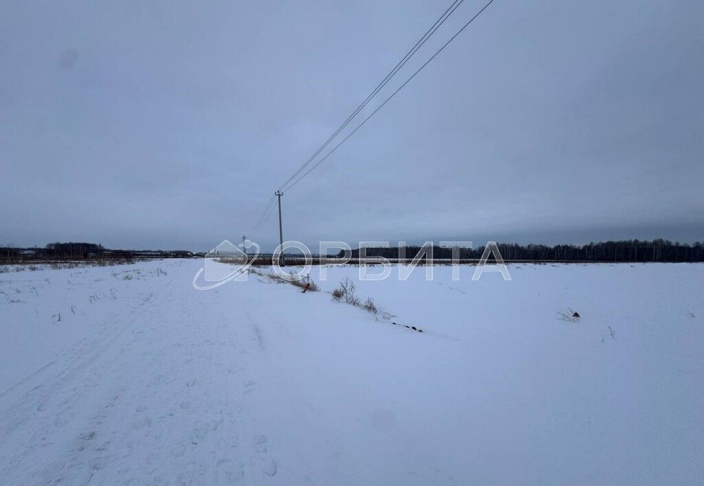 земля р-н Тюменский с Горьковка ул Сибирская Тюмень фото 1