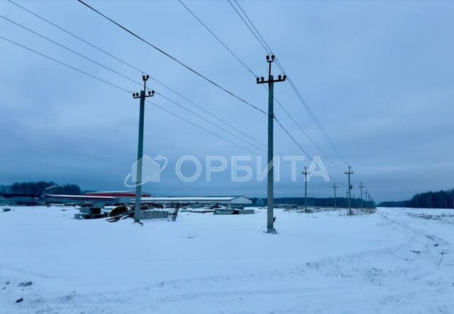 ул Сибирская Тюмень фото