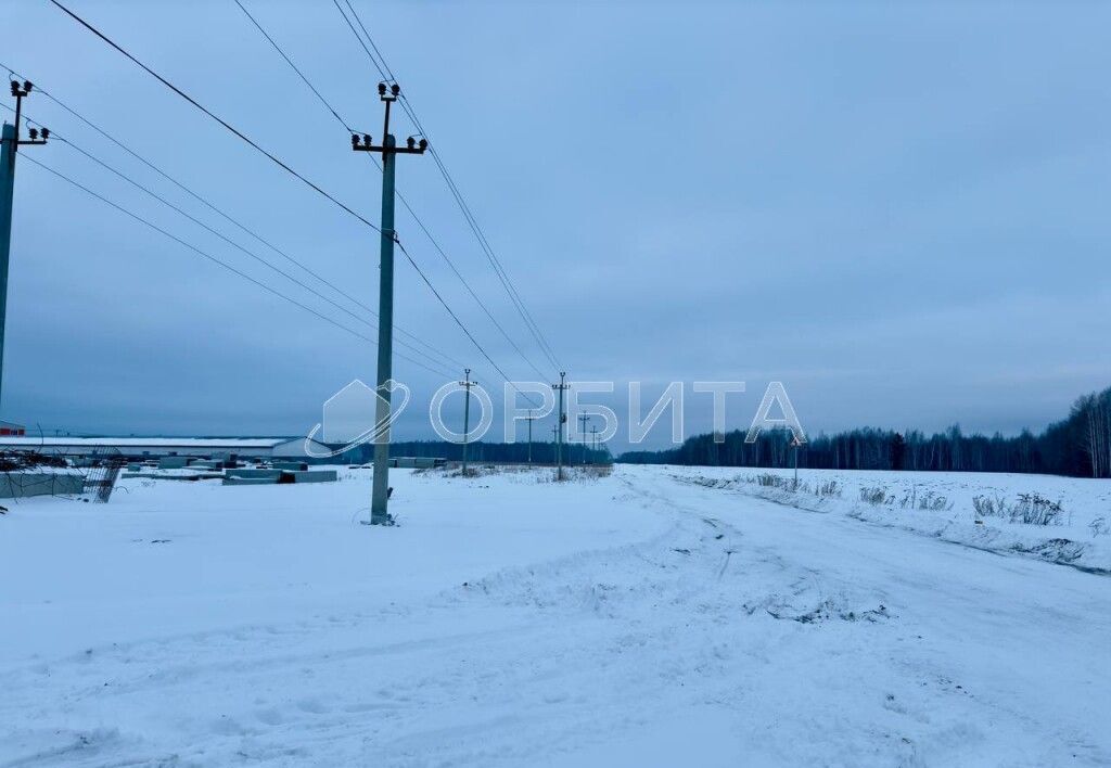 земля р-н Тюменский с Горьковка ул Сибирская Тюмень фото 3