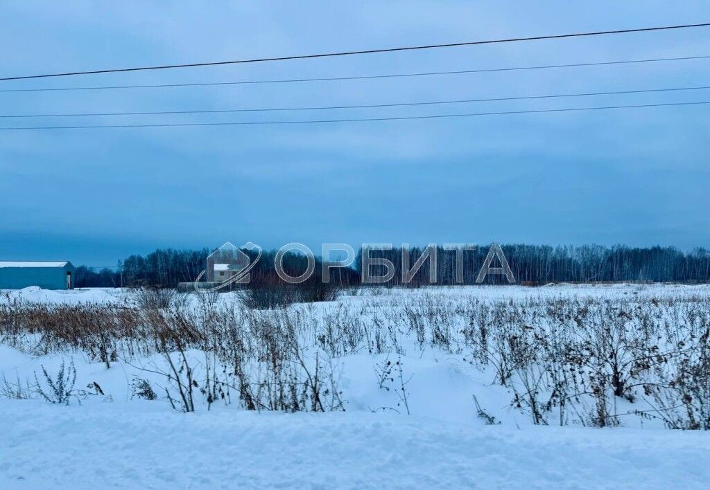 земля р-н Тюменский с Горьковка ул Сибирская Тюмень фото 2