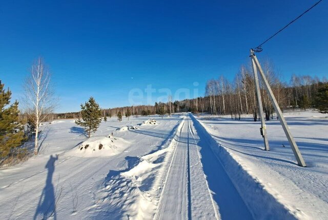 снт Березка фото