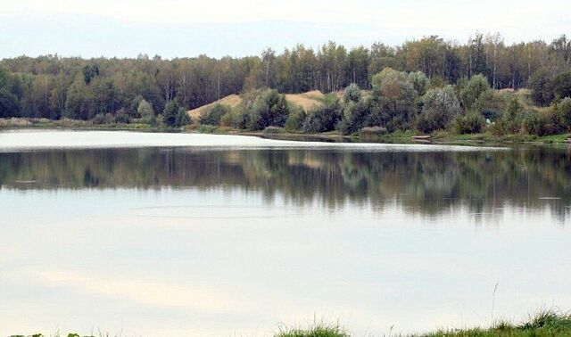 направление Горьковское (восток) ш Горьковское 41 км, Электросталь фото